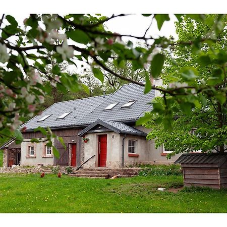 Kozy I Roze Villa Oldrzychowice Klodzkie Bagian luar foto