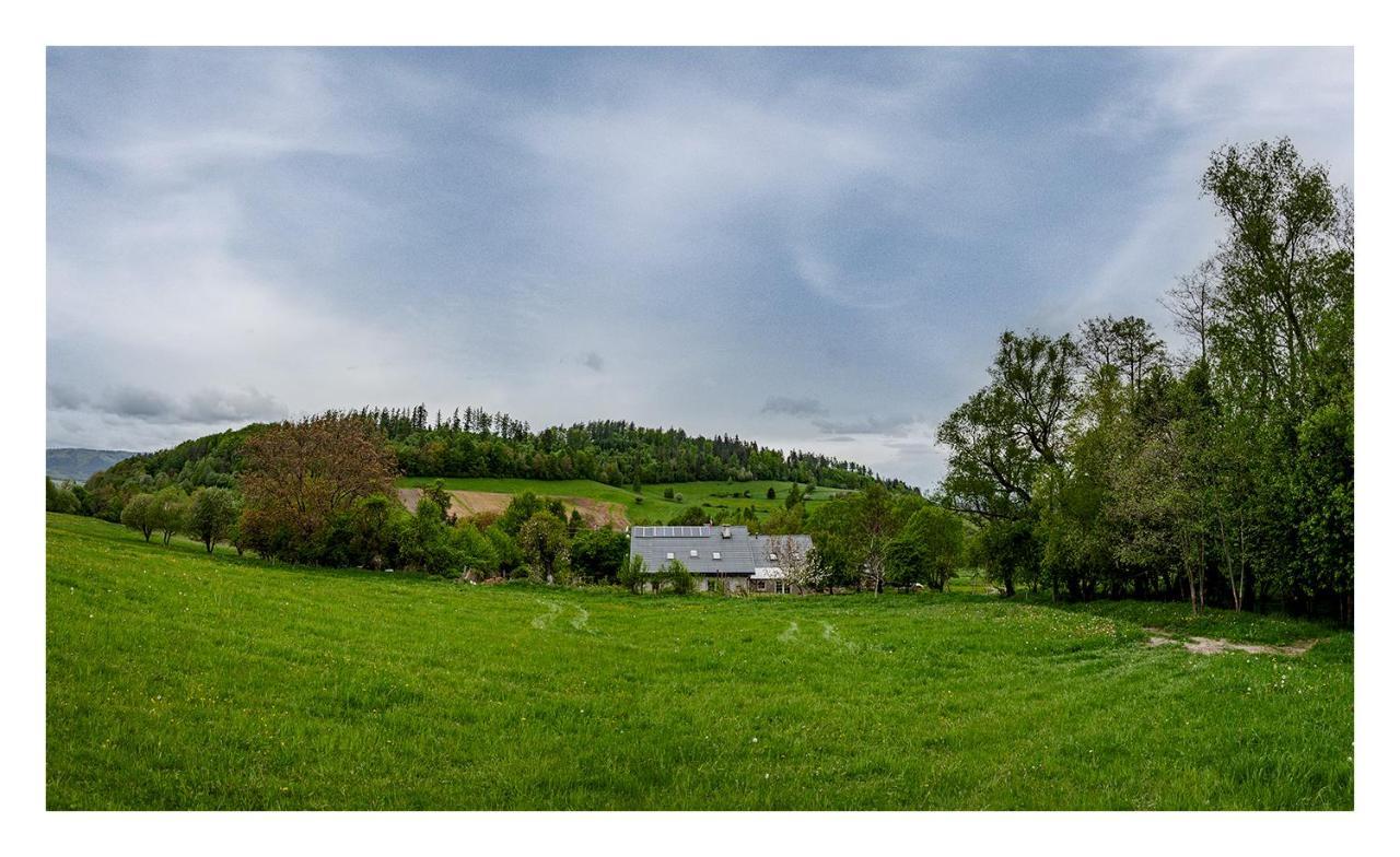 Kozy I Roze Villa Oldrzychowice Klodzkie Bagian luar foto